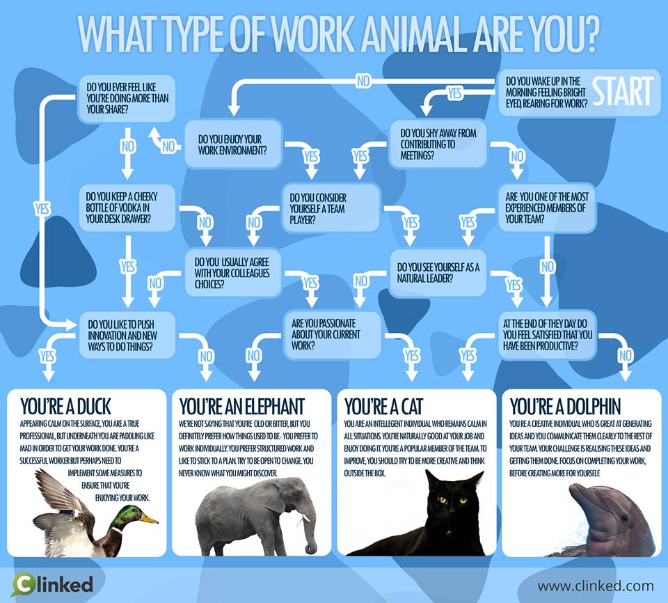 what type of work animal are you